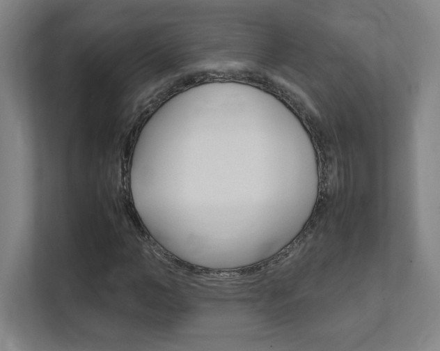 X0000111850966200907231056