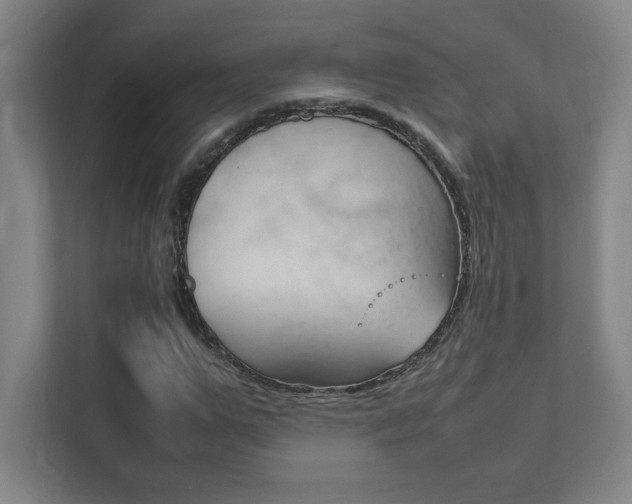X0000111850967200907231056