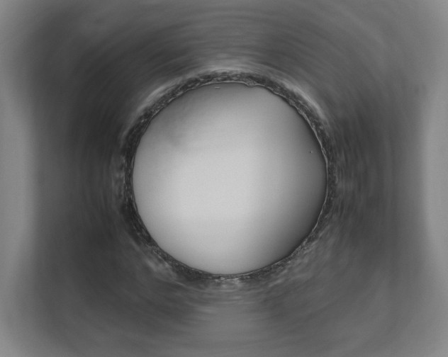 X0000111850968200907231056