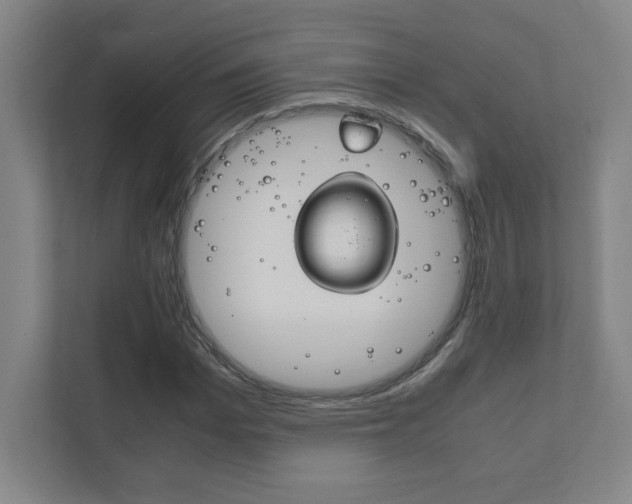 X0000111850969200907231056