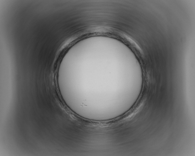 X0000111850970200907231056