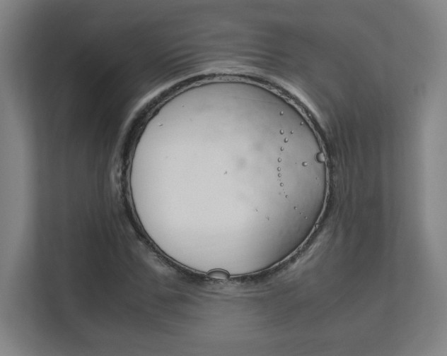 X0000111850971200907231056