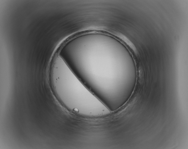 X0000111850972200907231056