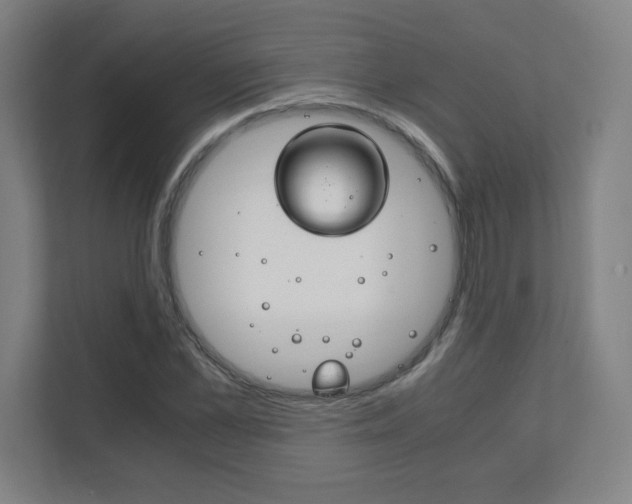 X0000111850973200907231056