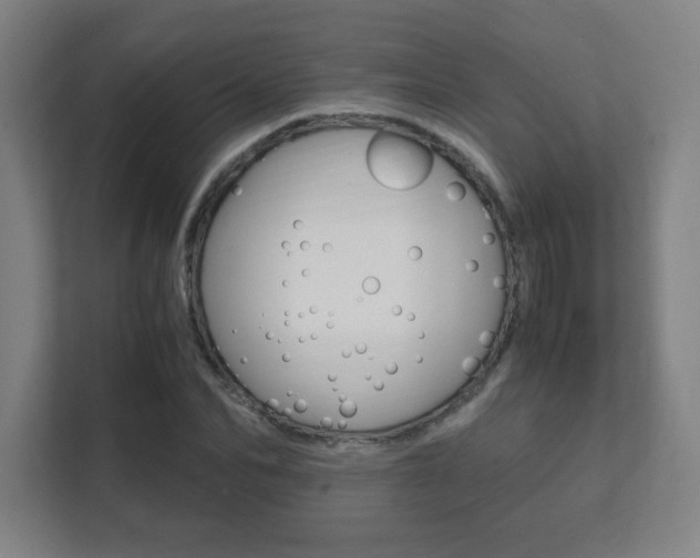 X0000111850974200907231056