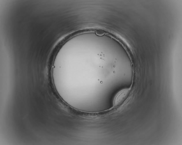 X0000111850975200907231056