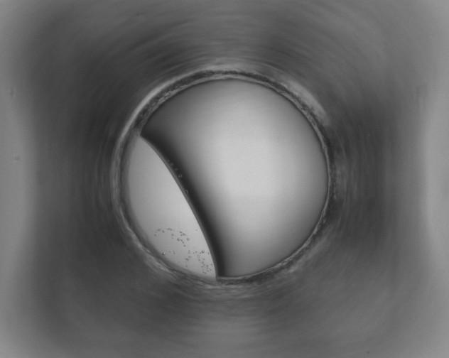 X0000111850976200907231056