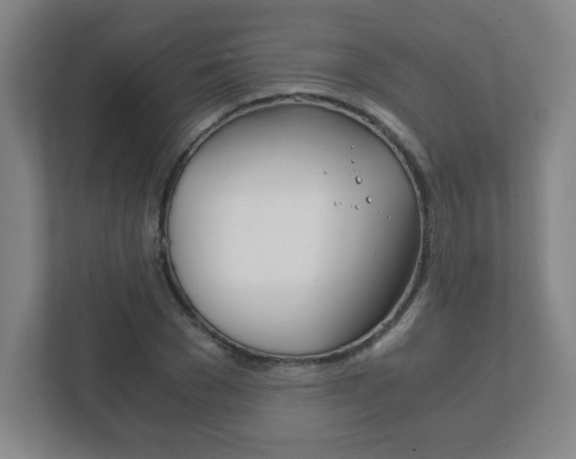 X0000111850977200907231056