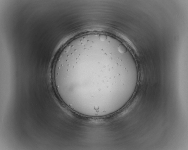 X0000111850978200907231056