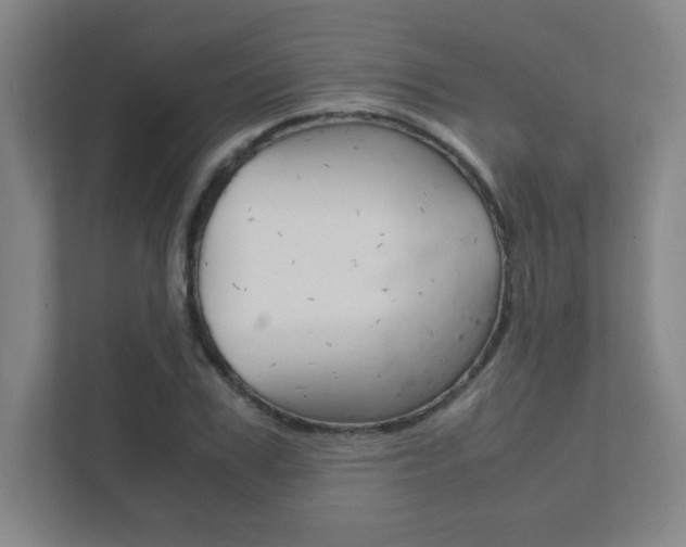 X0000111850979200907231056