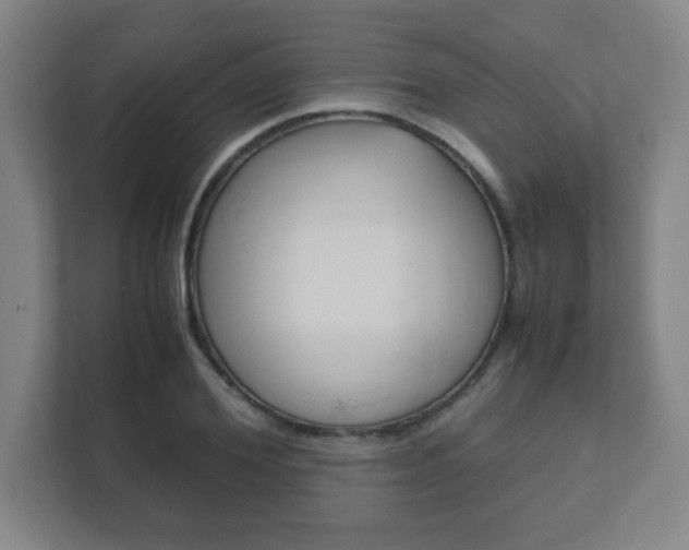 X0000111850980200907231056