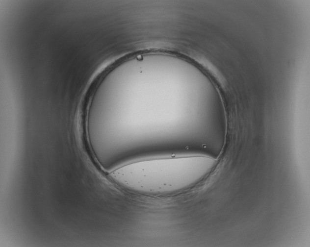X0000111850983200907231056
