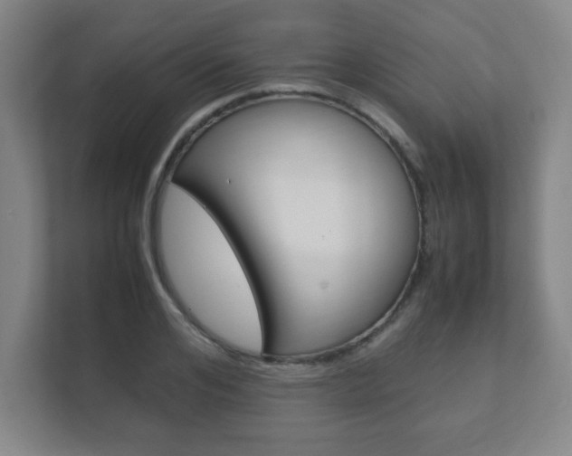 X0000111850984200907231056