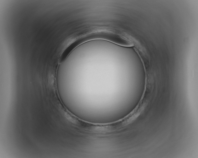 X0000111850985200907231056