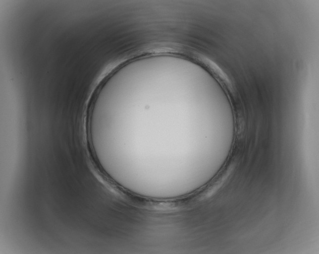 X0000111850986200907231056