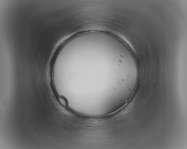 X0000111850987200907231056