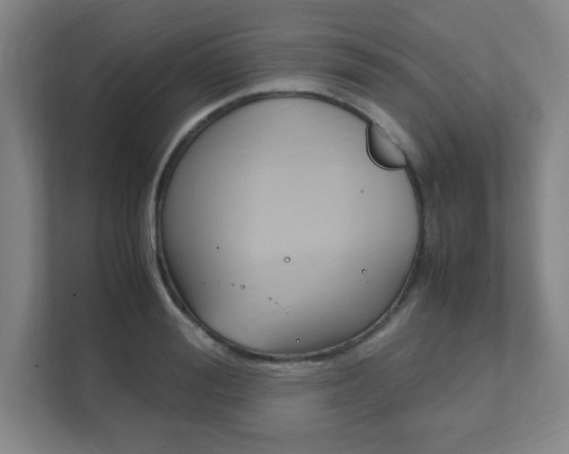 X0000111850988200907231056