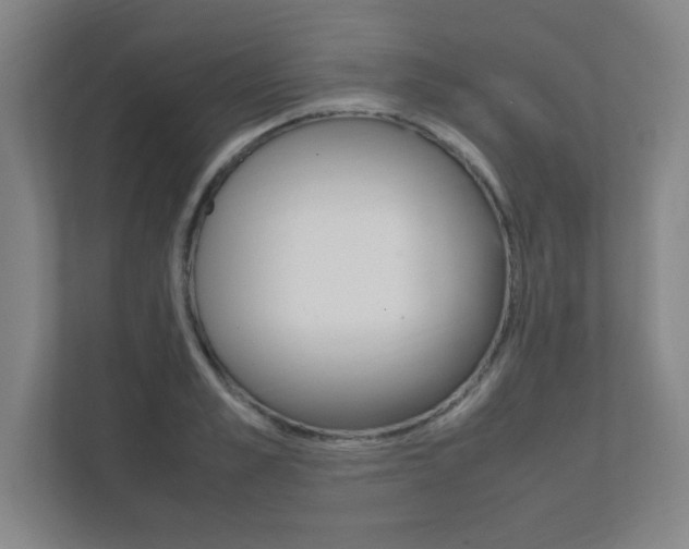 X0000111850989200907231056