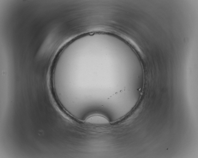 X0000111850991200907231056