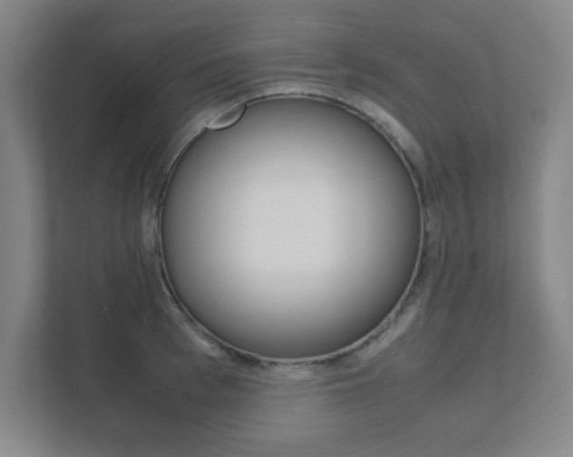 X0000111850993200907231056