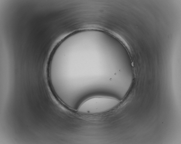 X0000111850995200907231056