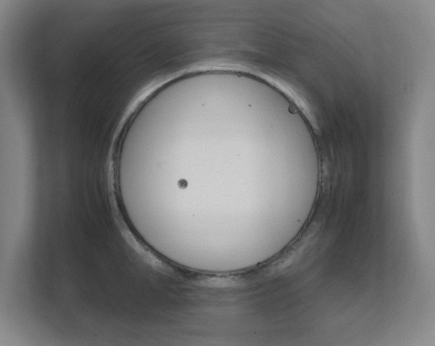 X0000111850998200907231056