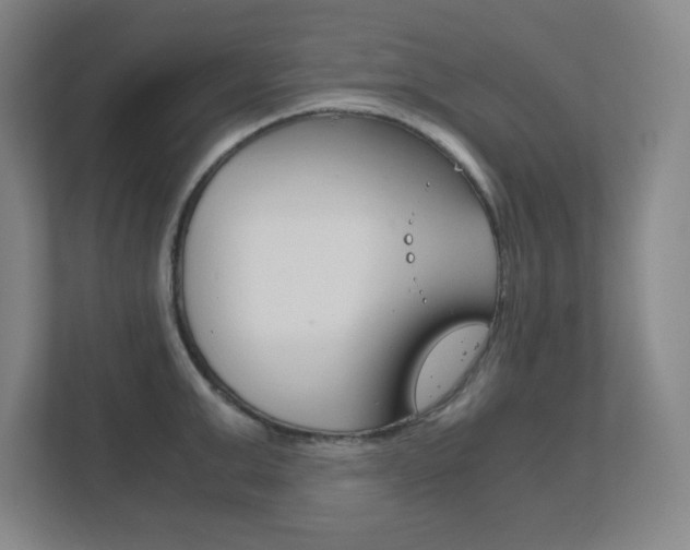 X0000111850999200907231056