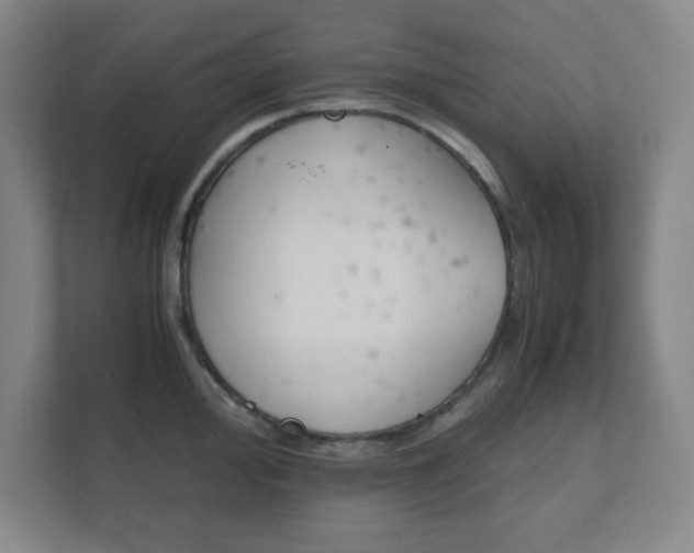 X0000111851000200907231056