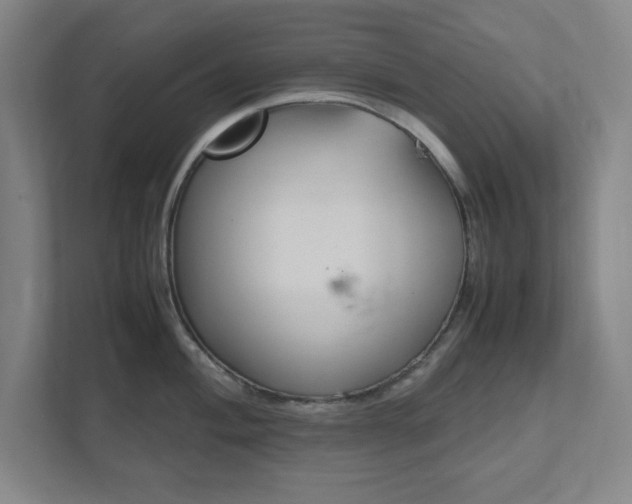 X0000111851004200907231055