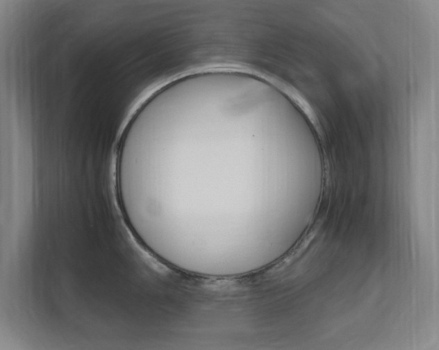 X0000111851006200907231055
