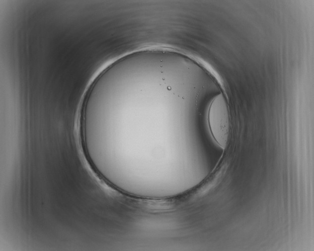 X0000111851007200907231055