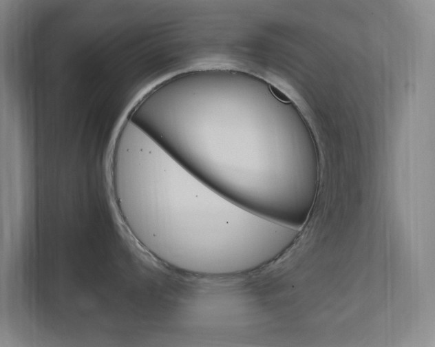 X0000111851008200907231055