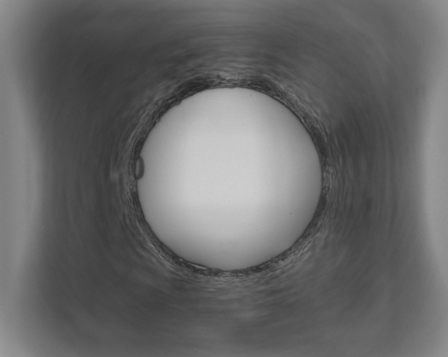 X0000111851009200907231055