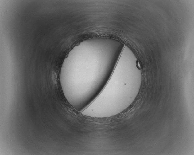 X0000111851010200907231055