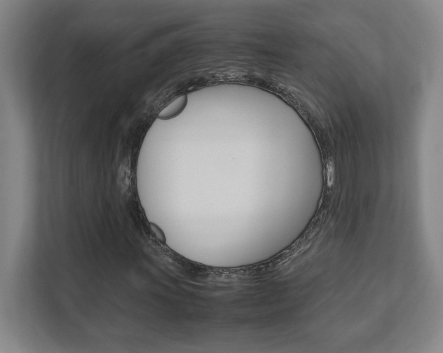 X0000111851011200907231055