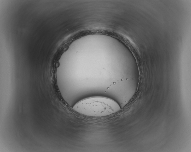 X0000111851016200907231055