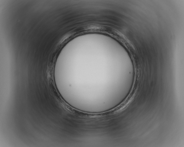 X0000111851017200907231055