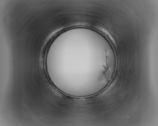 X0000111851019200907231055