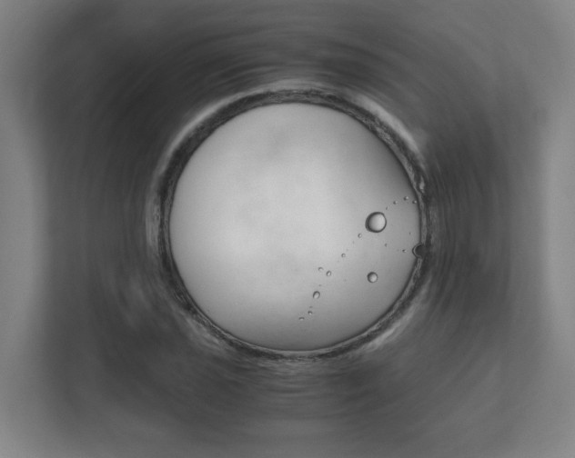 X0000111851021200907231055