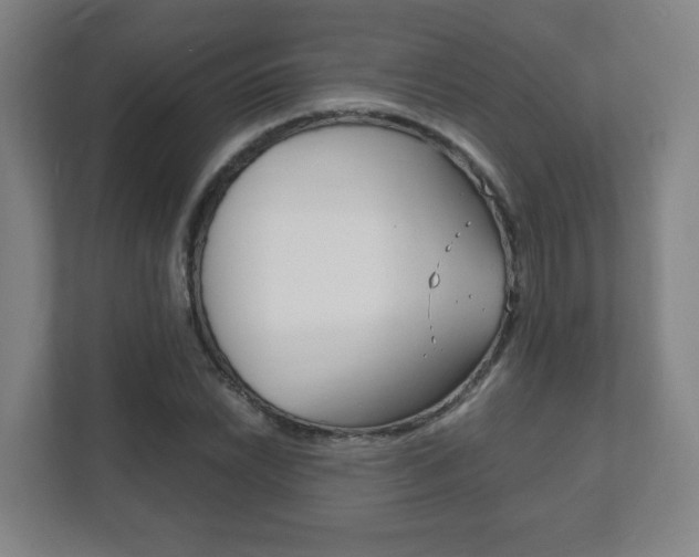 X0000111851022200907231055