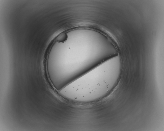 X0000111851026200907231055