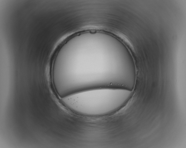 X0000111851030200907231055