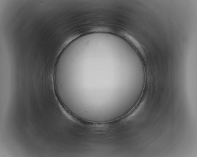 X0000111851041200907231055