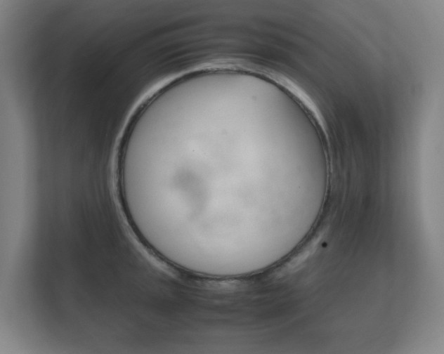 X0000111851045200907231055