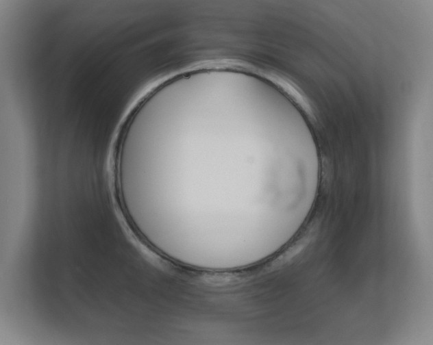 X0000111851046200907231055
