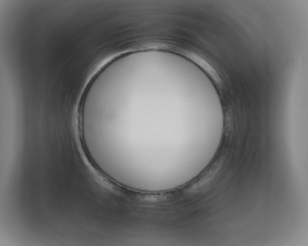 X0000111851047200907231055