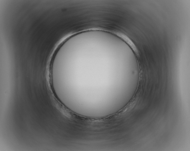 X0000111851051200907231055