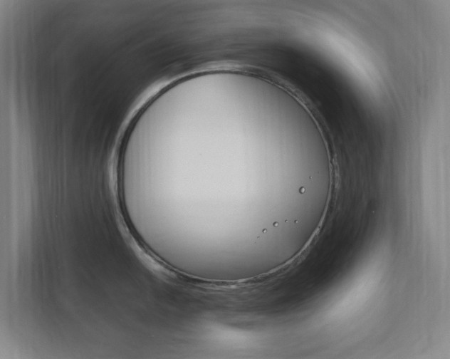 X0000111851054200907231055