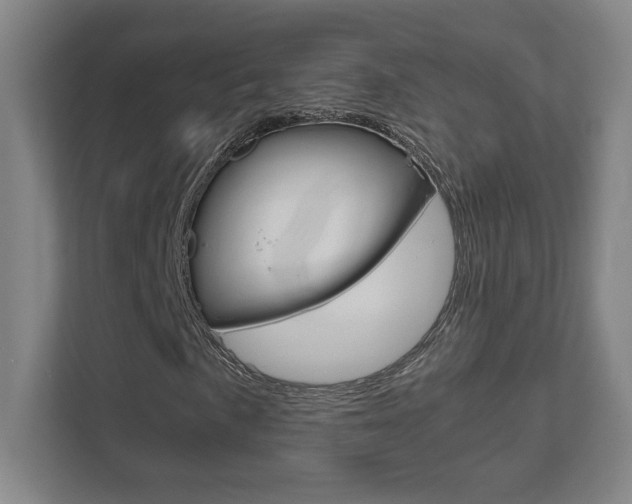 X0000111851057200907231055