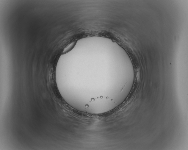 X0000111851059200907231055